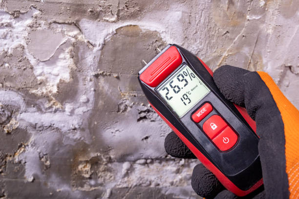 Mold Testing and Removal in Highland On The Lake, NY